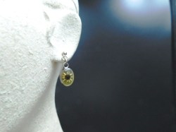 DRIED FLOWERS EAR A